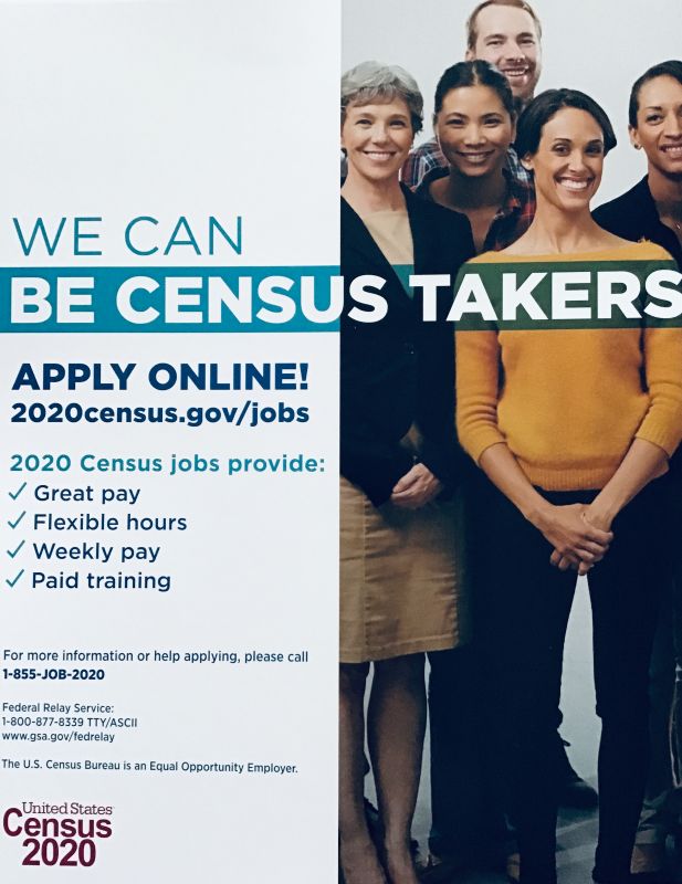Census Flyer